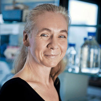 Prof. dr. Bettina Blaumeiser