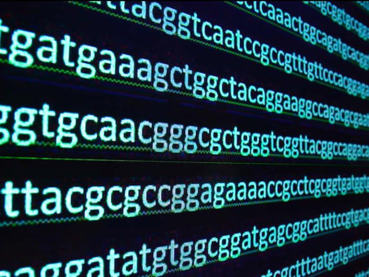 Sequenering van het volledig genoom: uitdagingen en organisatorische mogelijkheden in België