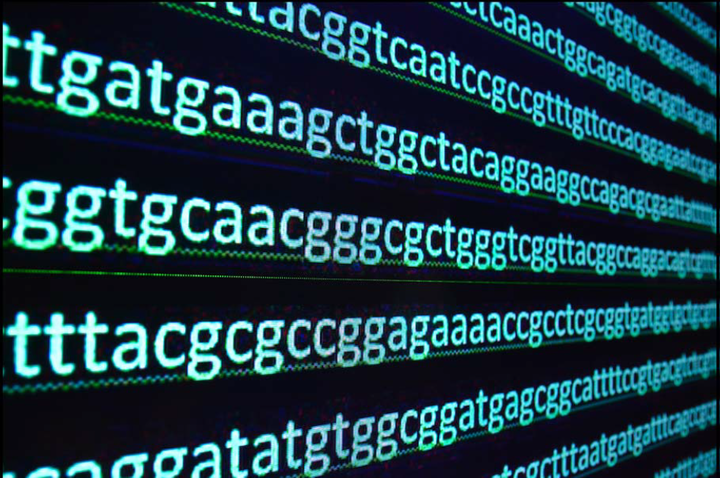 Le séquençage du génome complet, défis et pistes d'organisation pour la Belgique